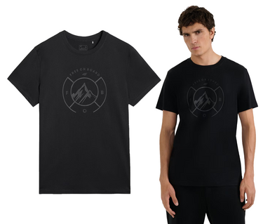 T-shirt męski 4F bawełna M3138 koszulka z górami czarny