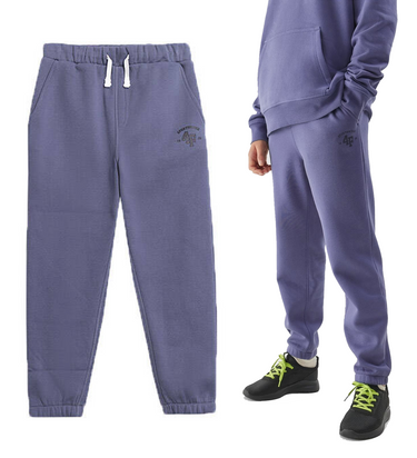 Spodnie dresowe 4F M419 z bawełny ocieplane niebieskie