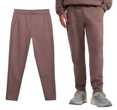 Spodnie męskie dresowe 4F M1251 z prostą nogawką brąz