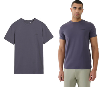 Koszulka męska 4F M2003 gładki t-shirt z bawełny szary
