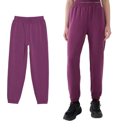 Spodnie dresowe damskie 4F F1010 z modalem fiolet