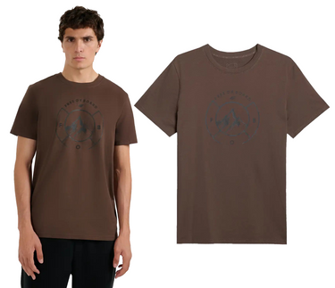 T-shirt męski sportowy 4F bawełniany z nadrukiem gór M3138 83S brąz