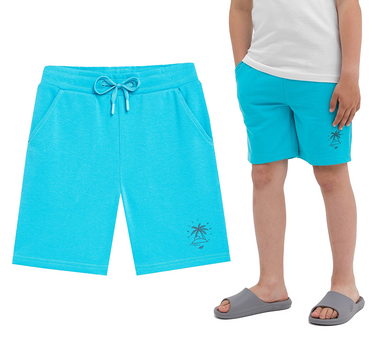 Krótkie spodenki 4F M047 szorty dresowe niebieskie