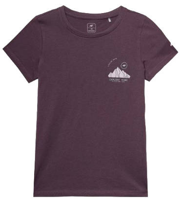 Koszulka z nadrukiem 4F F390 t-shirt z bawełny