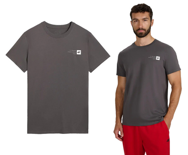 Koszulka męska z bawełny 4F M3131 t-shirt szary