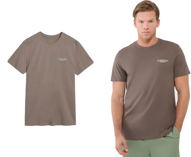 Koszulka męska 4F M1974 bawełniana na lato brązowa