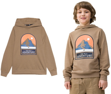 Bluza dresowa chłopięca 4F M0933 bawełniana z kapturem brąz