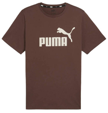 Koszulka męska bawełniana 586667 34 z dużym logo brąz