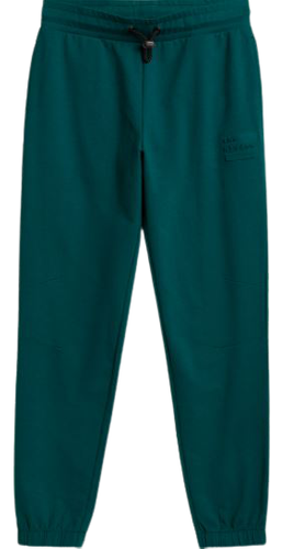 Spodnie męskie OUTHORN SPMD603 dresowe zieleń