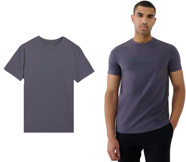 Koszulka męska 4F M2004 t-shirt z bawełny szary