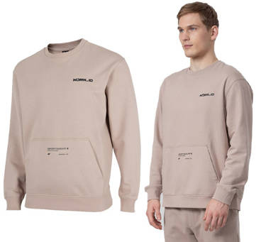 Bluza męska dresowa 4F BLM026 ocieplana beżowa