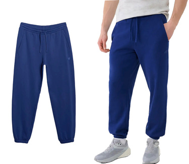 Spodnie męskie dresowe 4F M1139 Bawełniane granat