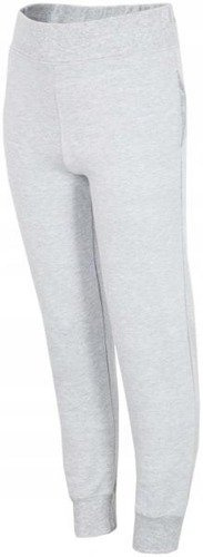 Spodnie dresowe dziecięce 4F JSPDD002 szare