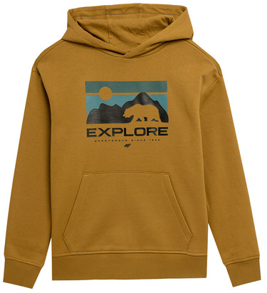 Bluza dresowa chłopięca 4F M241 ocieplana brązowa